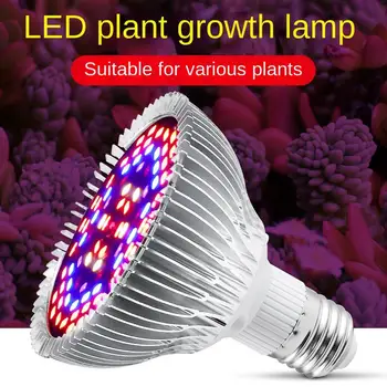 Cvet LED Toplogrednih Hydroponic Hydroponic Toplogrednih Zaprtih Rastlin Svetlobe Ffs Lučka Raste Luči Rastejo Bučke
