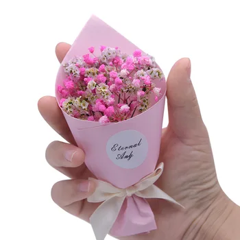 Mini Rože Kupil Gypsophila Obrti, Darila, Pakiranje Suhih Rož Foto Rekviziti Poroko Božična Darila, Zahvale