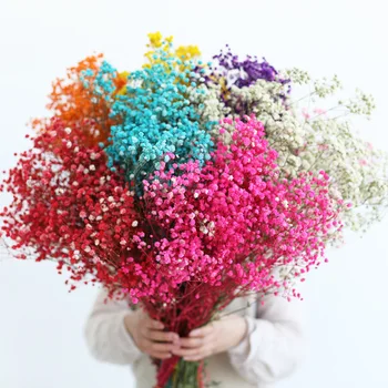Posušenih Naravnih Gypsophile Sveže Vedno Babysbreath Konzervirane Cvetje Večni Cvet Materiala Poroko Dobave Deco Zveze